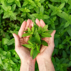 10 Expert Cleaning Tips for a Spotless Home