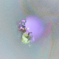 Solarythm - Orquídea Symbiosis [PolënS01] forthcoming
