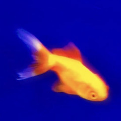 Pocket (feat. Vlai )