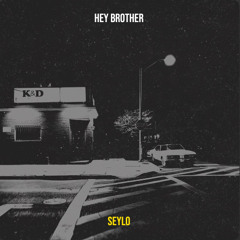 Seylo - Hey Brother (Pitch & Filter for Copyright)