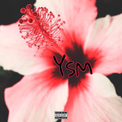 INTERNET THUGIN X YSM_NAZ X COBI_YSM