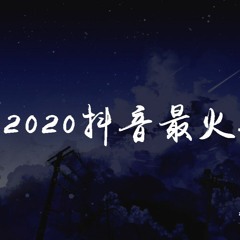 楊胖雨,你的大表哥曲甲,藍心羽,傲七爺,劉大壯,閻其兒Jill,葉瓊琳 - 2020抖音最火音樂串燒