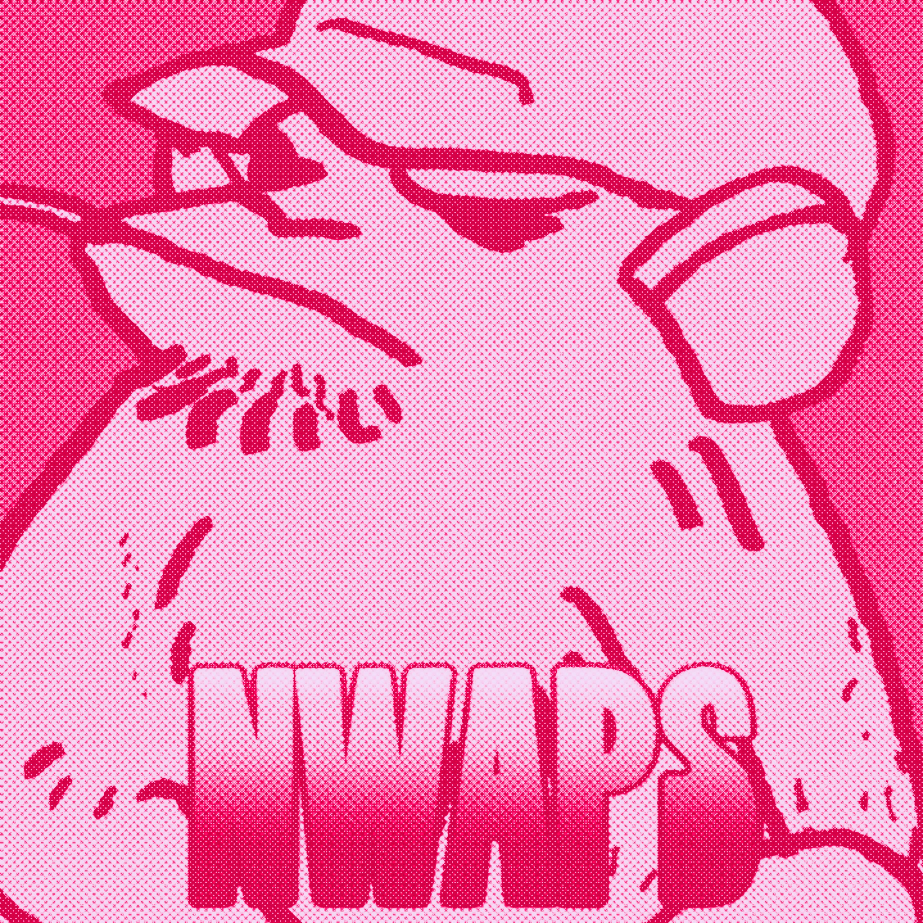 new jeans – hype boy (h4rdy dub)