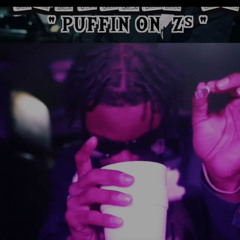 Traptize Ky - Puffin on Zs