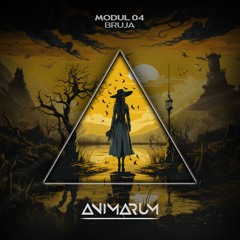 MODUL 04 - Bruja