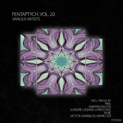 PREMIERE: fa bé - Surge (Extended Mix) [Polyptych Noir]