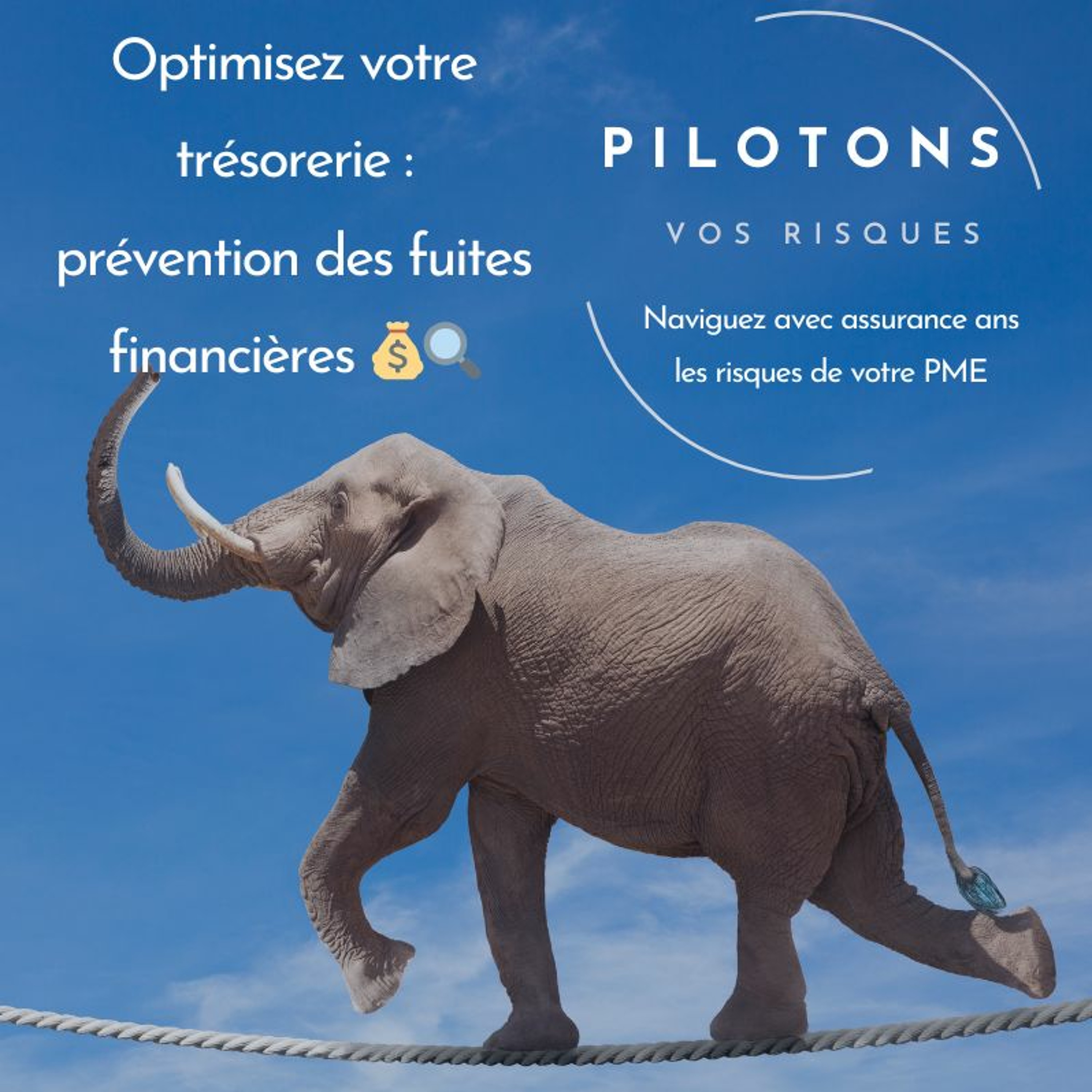 Optimisez votre trésorerie – prévention des fuites financières