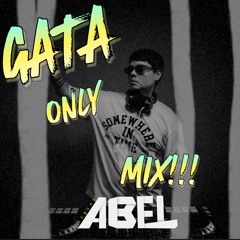 Mix Gata Only ( Abel DJ )