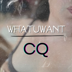 WhatUWant (garage mix)