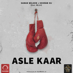 Asle Kaar (Feat. Sohrab MJ & Nejla) | (www.PARSIHIPHOP.com)
