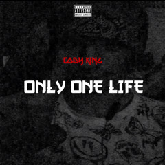 ONLY ONE LIFE [prod. Beast Inside Beats]
