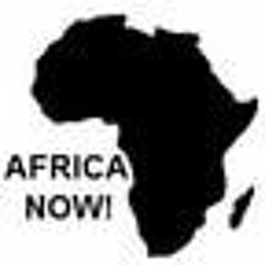 AfricaNow! Oct. 12, 2022 Dissecting AFRICOM, And Environment, Oil, And The UN In The DRC