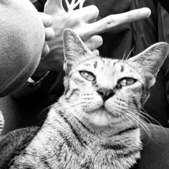 Rage Mode | Hardtrap DJ Mixtape 2025