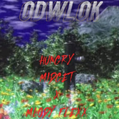 odwlok /w mlody flexx