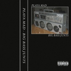 BIG BASS JUNTS A2