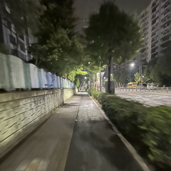 Hoa Lạc Lối Fix - NhanVn ( hpbd rìu )