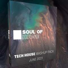 TECH HOUSE MASHUP PACK | JUNE 2023 [SoulOfHouse Selection]
