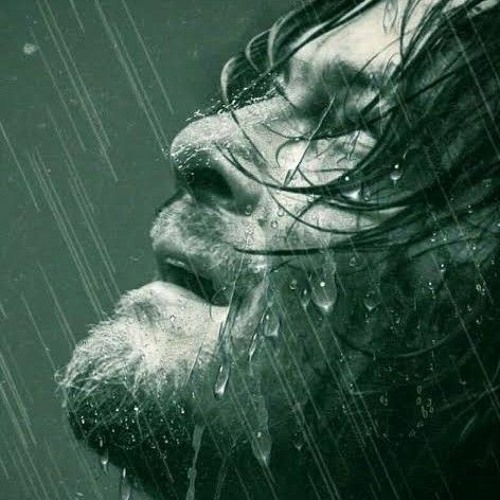 Crying In The Rain - The Everly Brothers (cover by Gil Sarti)
