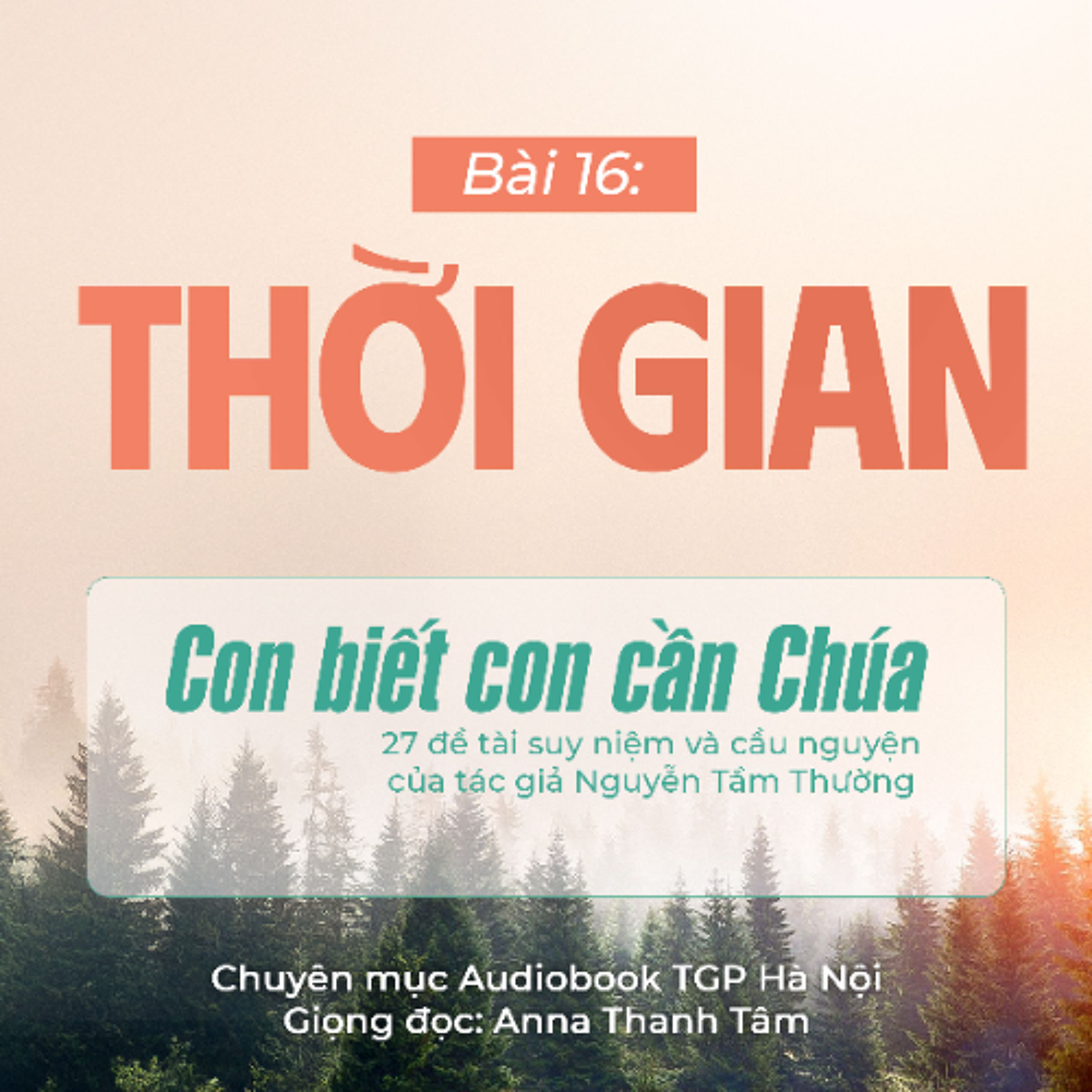 #16 Thời gian || Con biết con cần Chúa || Tác giả Nguyễn Tầm Thường