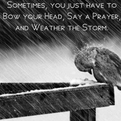 Weather The Storm- m4k0 & Stan