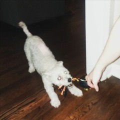 to think i stood a chance