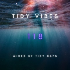 Tidy Vibes 118