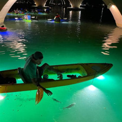 Review Special Price Sharkeys Glass Bottom Fish Feeding Led Night Tour St. Pete Beach