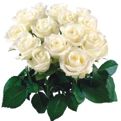 Semlu Nojay(Sergi Zukee)