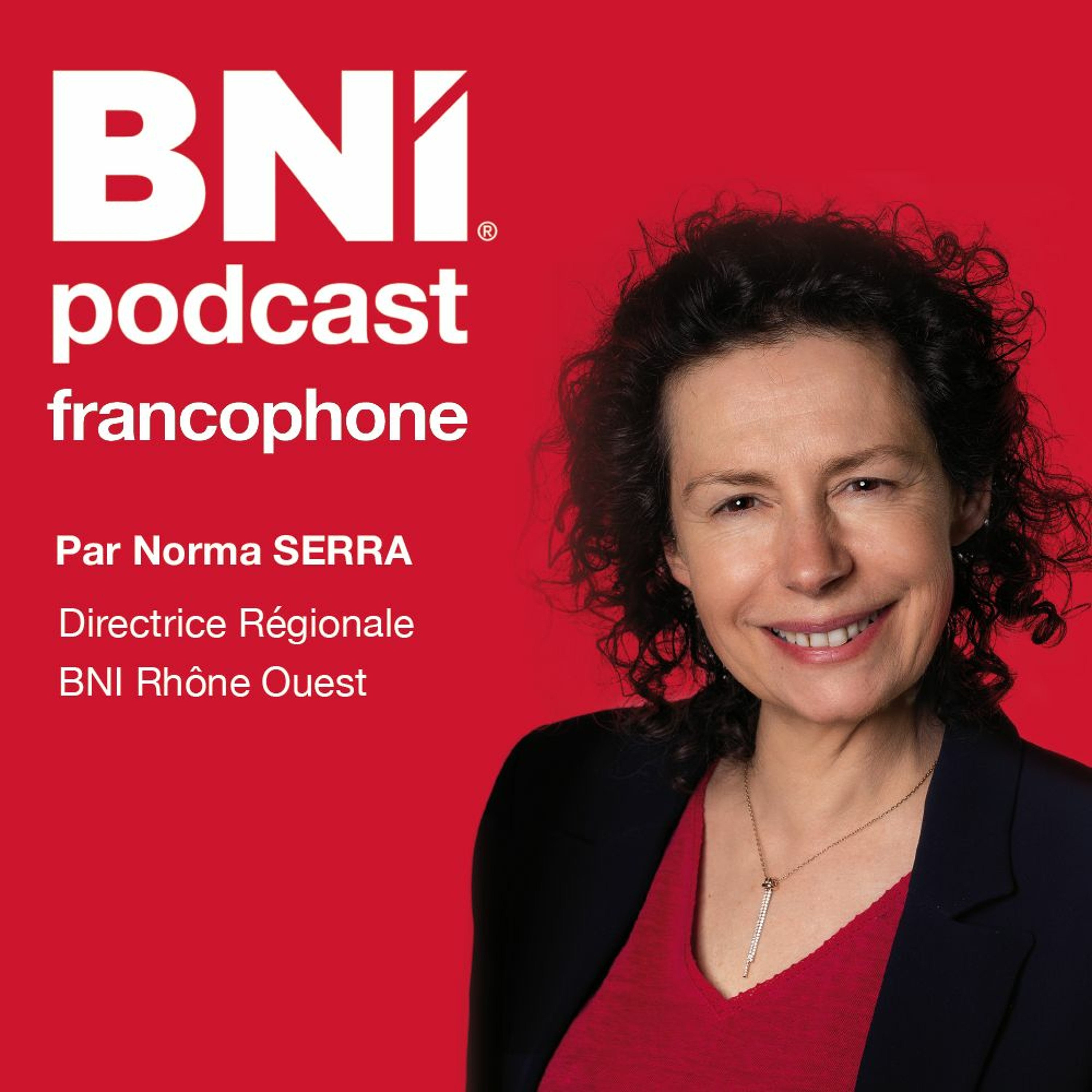 339 Comment Faire Du Réseau Quand On Est Introverti Et Qu On N Aime Pas Parler De Soi - N.SERRA episode artwork