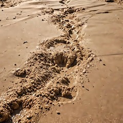 Quicksand of the Free.mp3