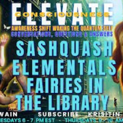 Fairies in the Library - ELEVATE Waking The Quantum Self