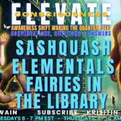 Fairies in the Library - ELEVATE Waking The Quantum Self