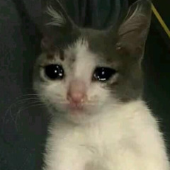 자기야 내 영혼에 회복 불가능한 치명상을 입혀주라. (Fuck My Life Up)