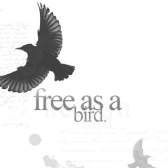 Free Bird - Lynard Skynard