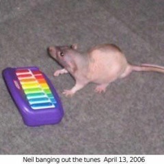 the extinction agenda