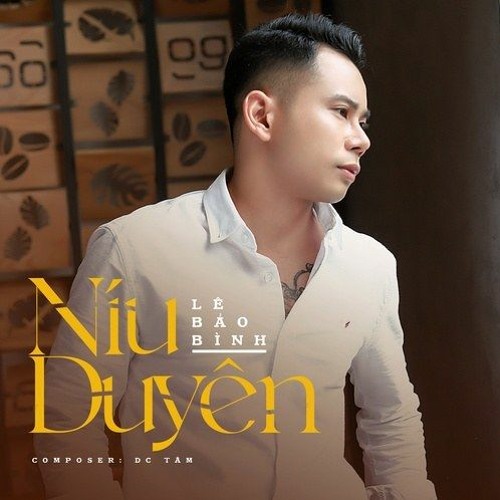 Niu Duyen Le Báº£o Binh Haow Remix Vinahouse By Ä'ang Ba Hoan
