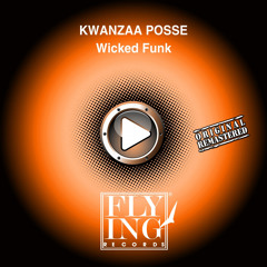 Wicked Funk (feat. Funk Master Sweat) (Afro Ambient Mix)