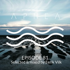 Episode 81 - Selected & Mixed by Eerik Vilk