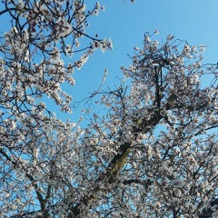 LAST SUPPER [with Louis the Tenth]