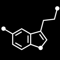 Enclave-Live PA@Underland Festival-Positeka Theme Camp 260925