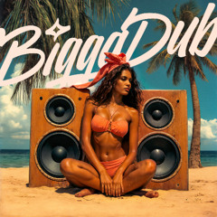 Freedom Riders (BiggaDub Remix)