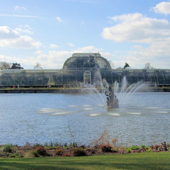 Nor any drop to drink