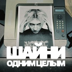 ШАЙНИ - ОДНИМ ЦЕЛЫМ | TOASTER LIVE XMAS'24