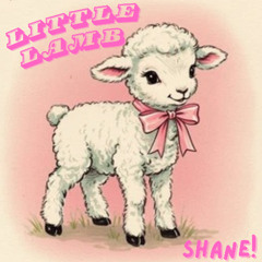 Little lamb