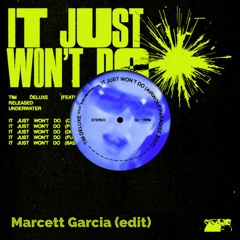 Tim Deluxe - It Just Won't Do (feat. Sam Obernik) (Marcett Garcia Edit)
