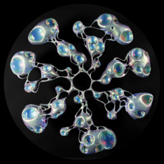 PREMIERE: Earth Trax - The Body Radiates [Neptune Discs]