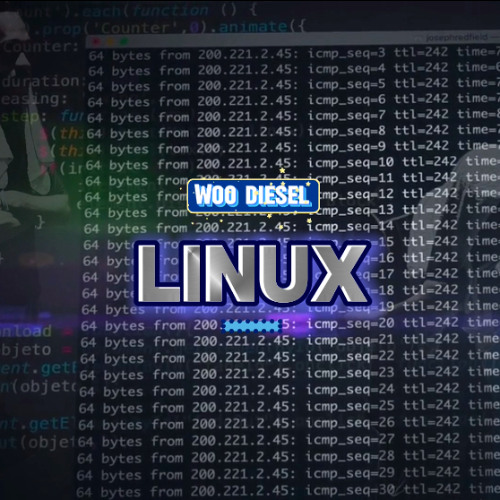 Linux - [prod by. @plugizlu]