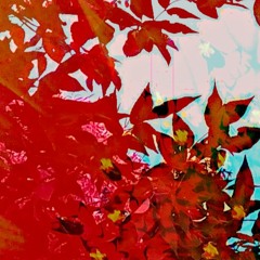 In Any Kind Of Weather