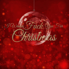 I Wanna F**k You For Christmas