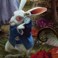 White Rabbit